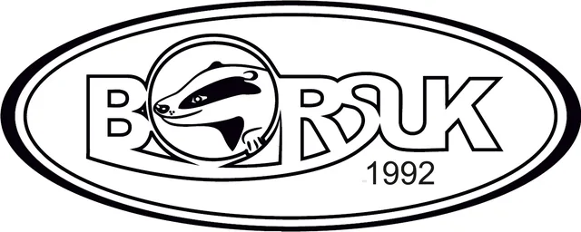 Borsuk